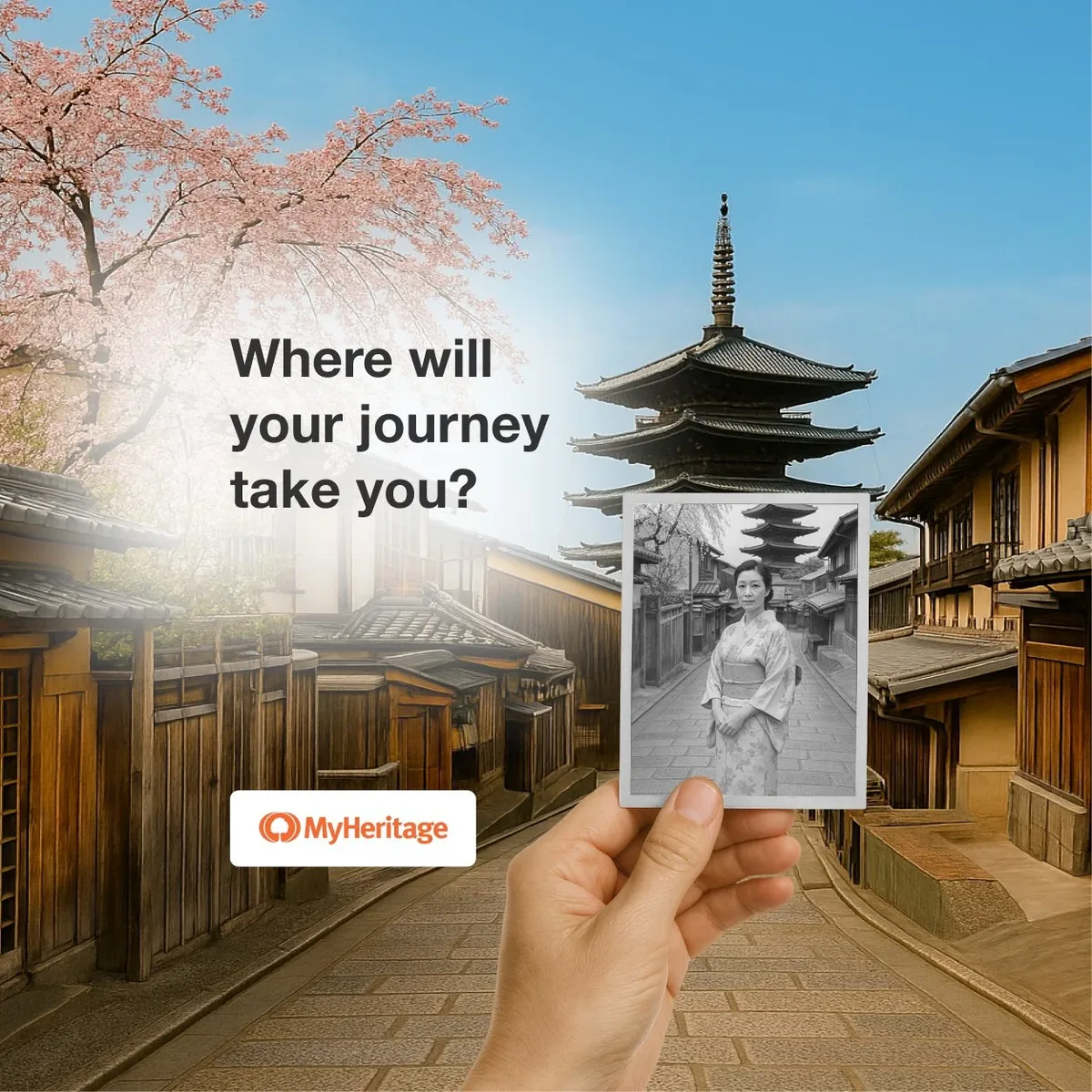 MyHeritage Marketing Design